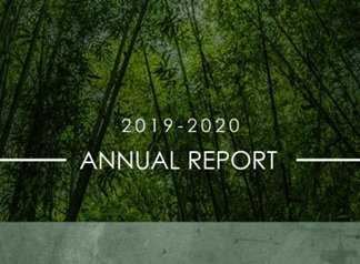 SayTrees Annual Report 2019-2020